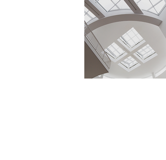 white ceiling with sunlight windows